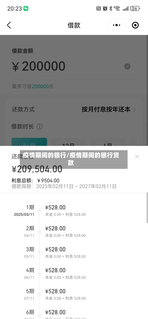 疫情期间的银行/疫情期间的银行贷款