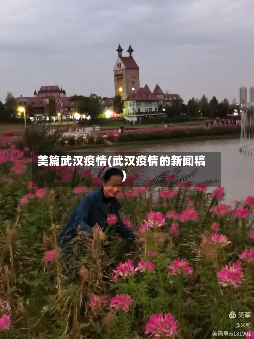 美篇武汉疫情(武汉疫情的新闻稿)-第3张图片
