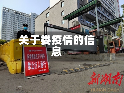关于娄疫情的信息
