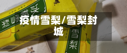 疫情雪梨/雪梨封城-第2张图片