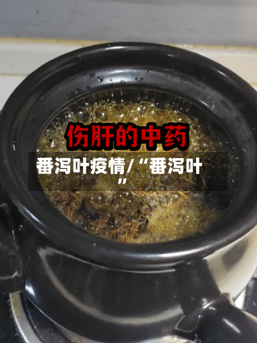 番泻叶疫情/“番泻叶	”-第2张图片