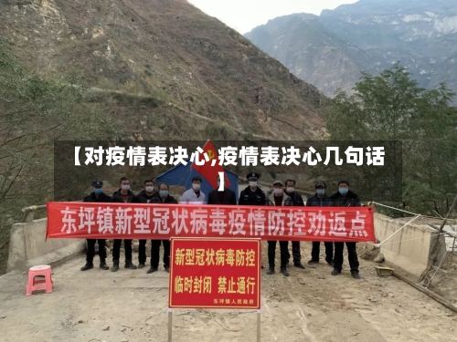 【对疫情表决心,疫情表决心几句话】