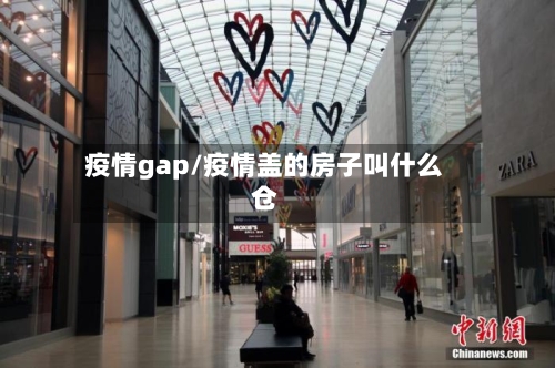 疫情gap/疫情盖的房子叫什么仓