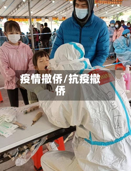 疫情撤侨/抗疫撤侨-第2张图片