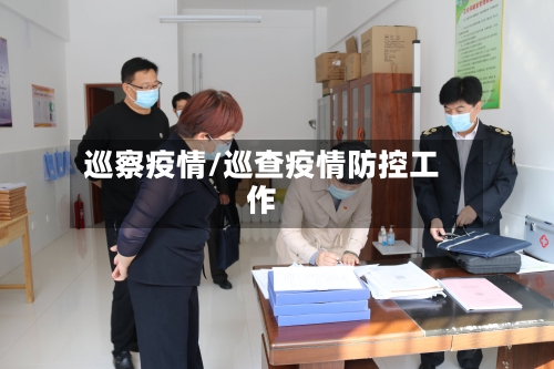 巡察疫情/巡查疫情防控工作-第2张图片