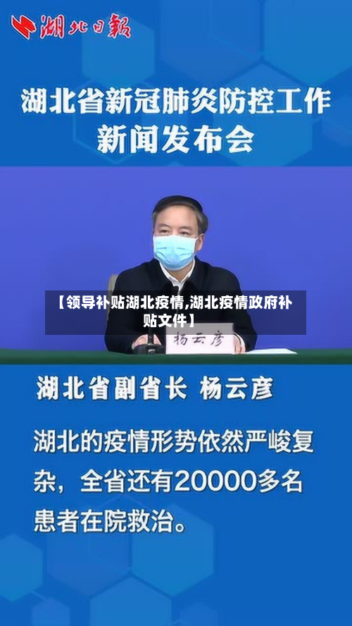 【领导补贴湖北疫情,湖北疫情政府补贴文件】-第2张图片