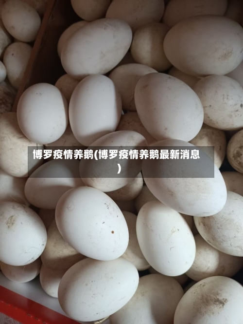 博罗疫情养鹅(博罗疫情养鹅最新消息)-第2张图片