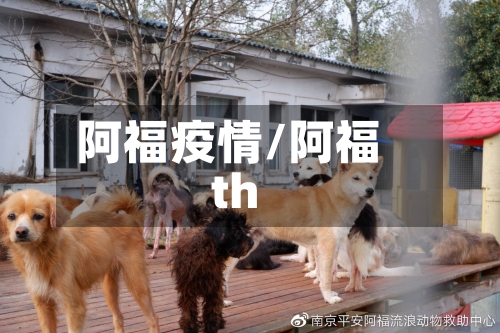 阿福疫情/阿福th