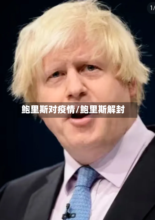 鲍里斯对疫情/鲍里斯解封-第2张图片