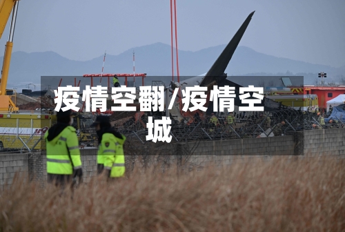 疫情空翻/疫情空城