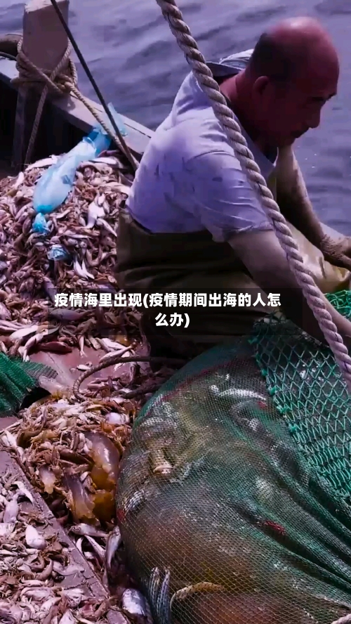疫情海里出现(疫情期间出海的人怎么办)