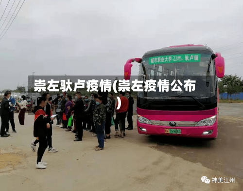 崇左驮卢疫情(崇左疫情公布)-第3张图片