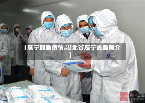 【咸宁加鱼疫情,湖北省咸宁嘉鱼简介】-第3张图片