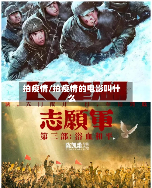 拍疫情/拍疫情的电影叫什么