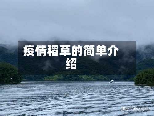 疫情稻草的简单介绍-第2张图片