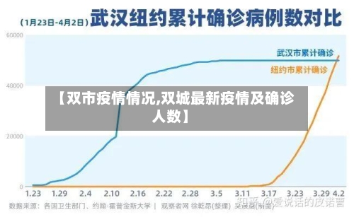 【双市疫情情况,双城最新疫情及确诊人数】-第3张图片