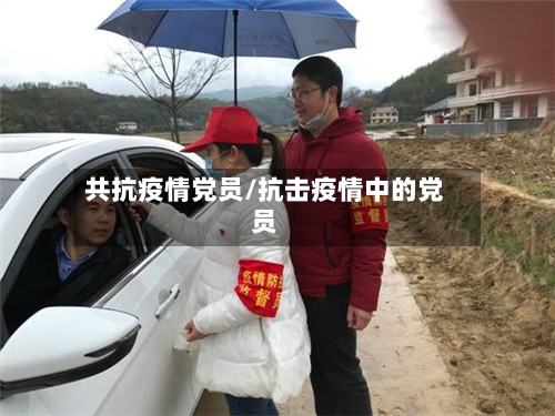 共抗疫情党员/抗击疫情中的党员