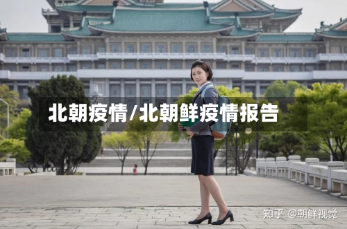 北朝疫情/北朝鲜疫情报告-第2张图片