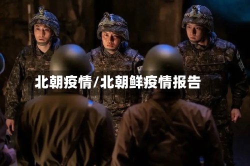 北朝疫情/北朝鲜疫情报告