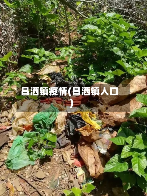 昌洒镇疫情(昌洒镇人口)