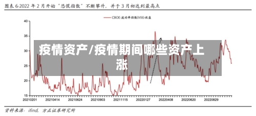 疫情资产/疫情期间哪些资产上涨-第2张图片