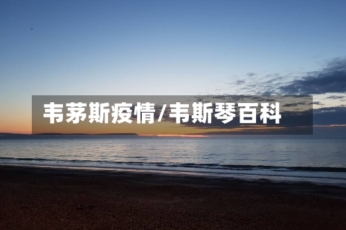 韦茅斯疫情/韦斯琴百科-第2张图片