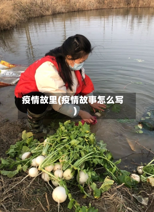 疫情故里(疫情故事怎么写)