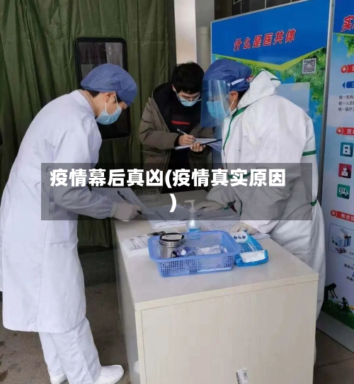 疫情幕后真凶(疫情真实原因)-第3张图片