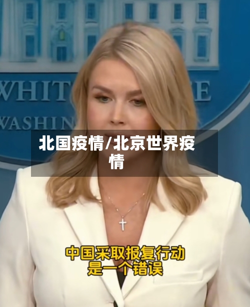 北国疫情/北京世界疫情-第3张图片