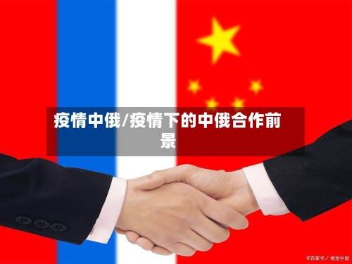 疫情中俄/疫情下的中俄合作前景-第2张图片