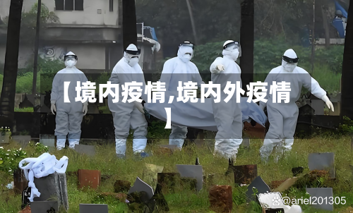 【境内疫情,境内外疫情】-第3张图片