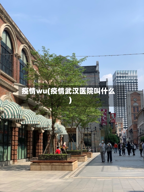 疫情wu(疫情武汉医院叫什么)-第2张图片
