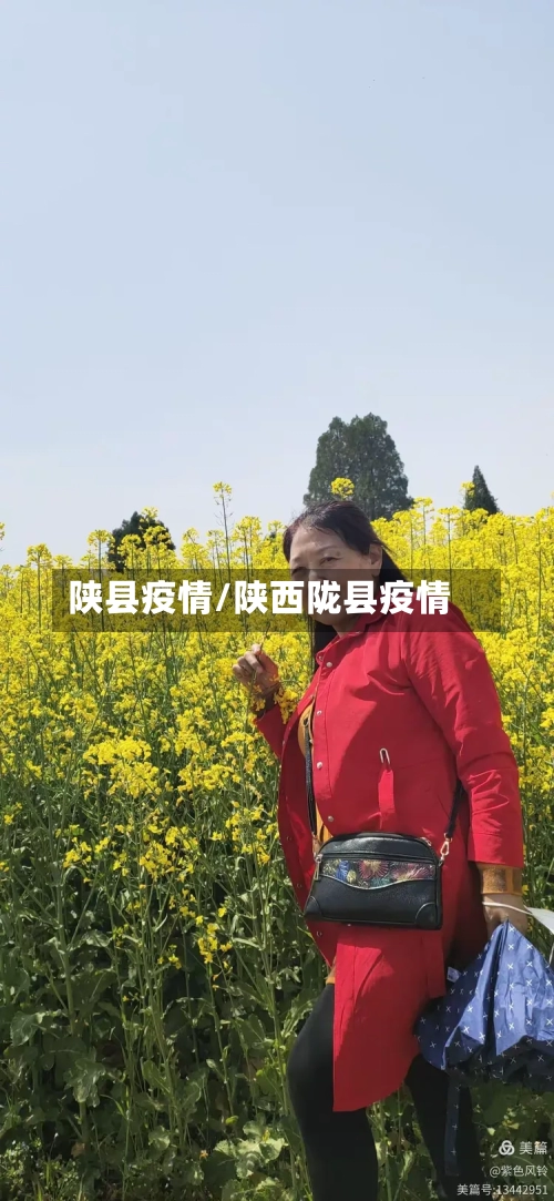 陕县疫情/陕西陇县疫情-第2张图片