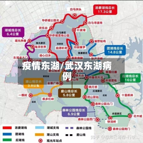 疫情东湖/武汉东湖病例-第2张图片