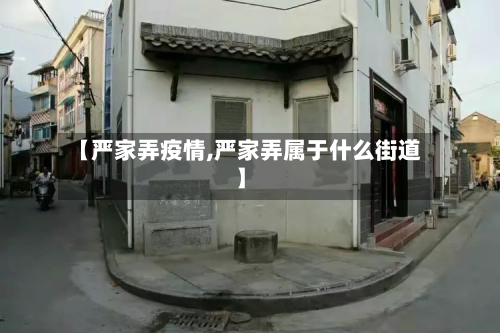 【严家弄疫情,严家弄属于什么街道】-第2张图片