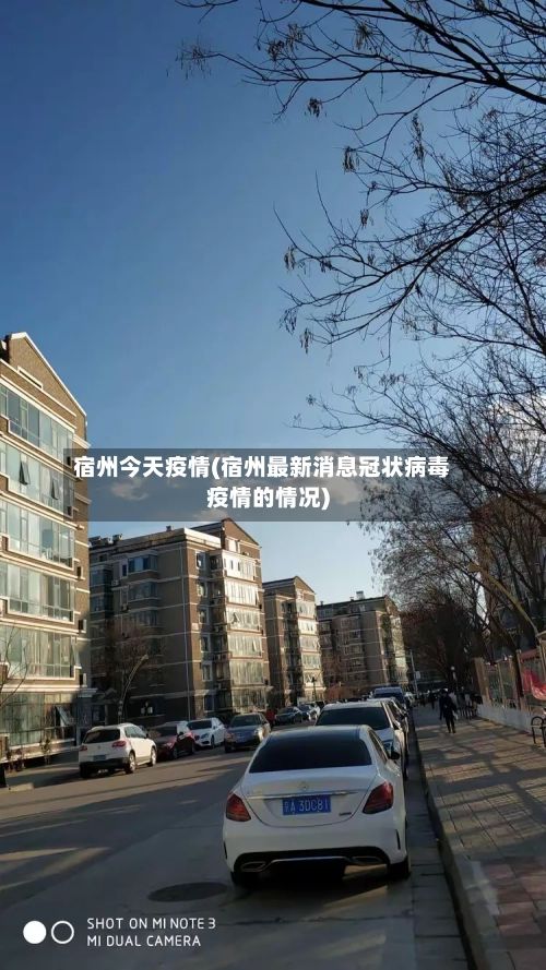 宿州今天疫情(宿州最新消息冠状病毒疫情的情况)-第3张图片