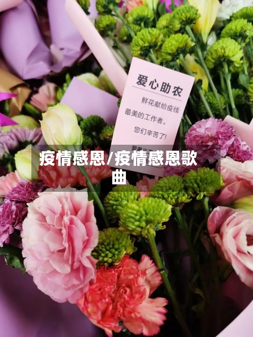 疫情感恩/疫情感恩歌曲-第3张图片