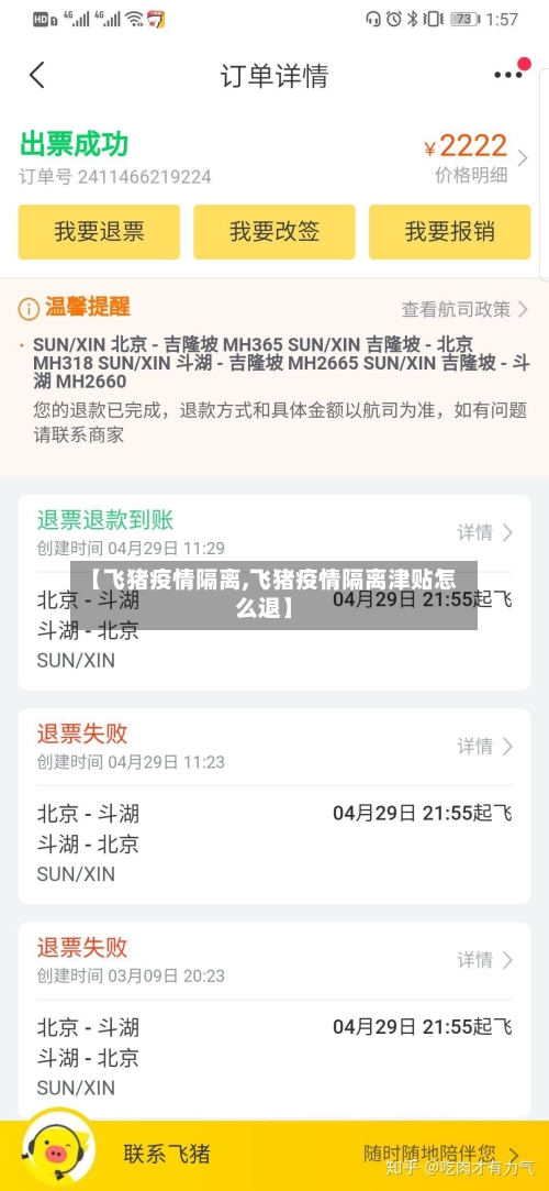 【飞猪疫情隔离,飞猪疫情隔离津贴怎么退】-第2张图片