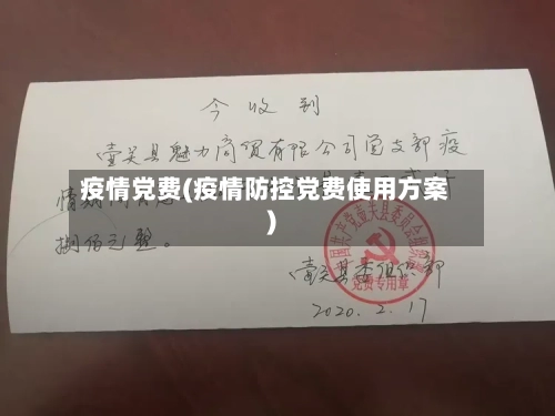 疫情党费(疫情防控党费使用方案)-第2张图片