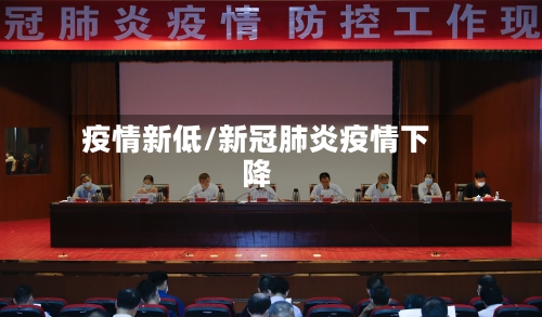 疫情新低/新冠肺炎疫情下降