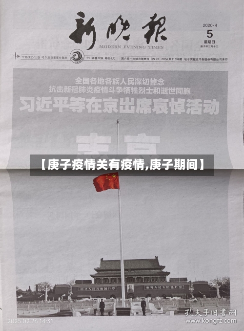 【庚子疫情关有疫情,庚子期间】-第2张图片