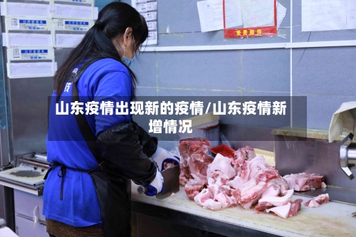 山东疫情出现新的疫情/山东疫情新增情况-第2张图片