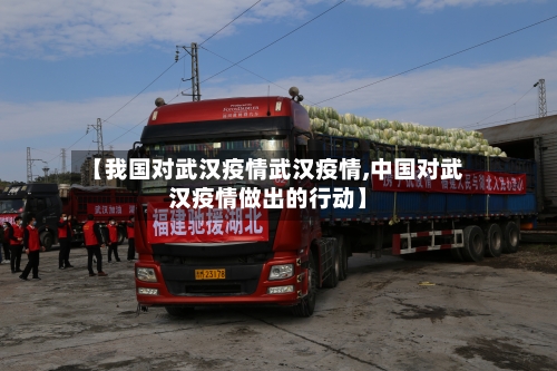 【我国对武汉疫情武汉疫情,中国对武汉疫情做出的行动】-第2张图片