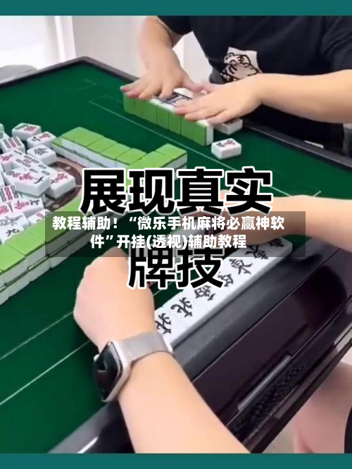 教程辅助！“微乐手机麻将必赢神软件	”开挂(透视)辅助教程-第3张图片