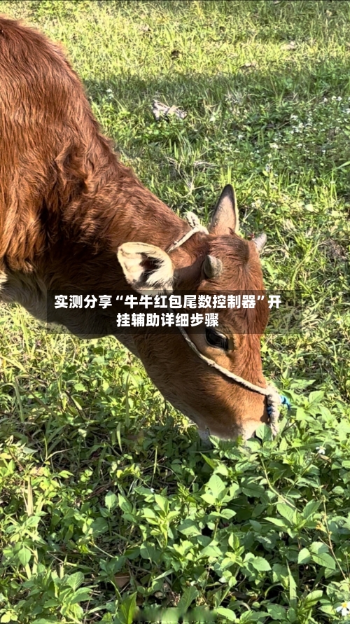 实测分享“牛牛红包尾数控制器”开挂辅助详细步骤-第3张图片