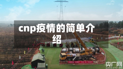 cnp疫情的简单介绍