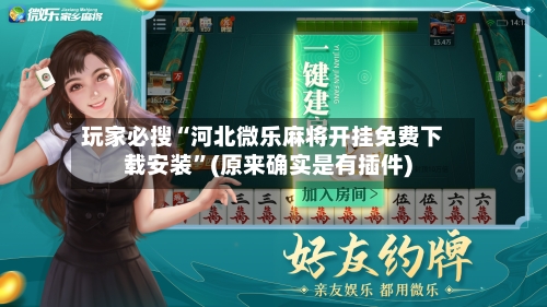 玩家必搜“河北微乐麻将开挂免费下载安装”(原来确实是有插件)-第3张图片