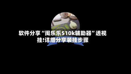 软件分享“闽乐乐510k辅助器	”透视挂!详细分享装挂步骤-第2张图片