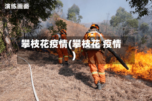 攀枝花疫情(攀枝花 疫情)-第2张图片