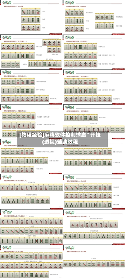 [教程经验]麻将软件控制输赢”开挂(透视)辅助教程-第2张图片